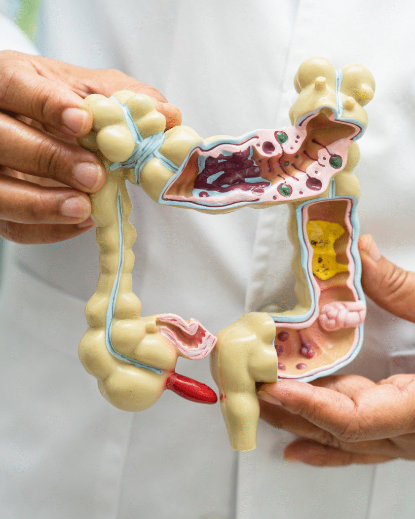 guthealth balance life feeling young